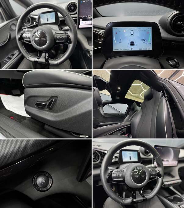 BYD Dolphin