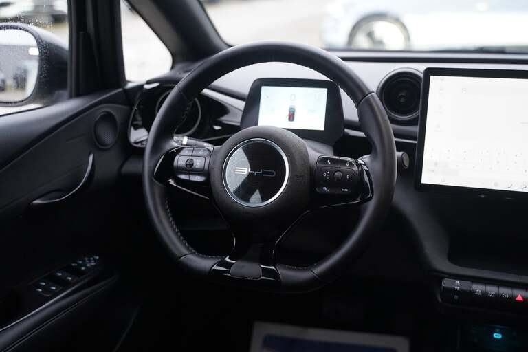 BYD Dolphin